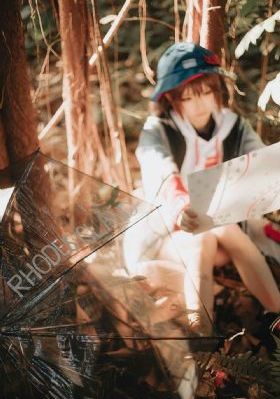 收获之夜免费完整版_高清在线视频观看